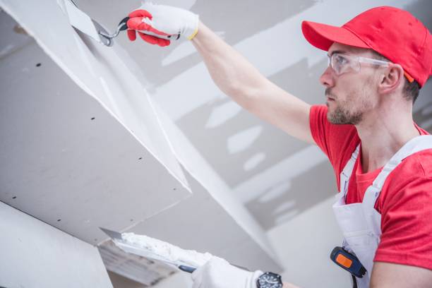 Professional Mold Removal in Cloverdale, CA
